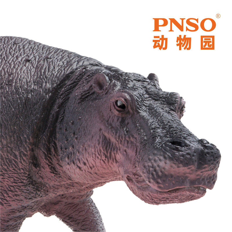 pnso河马墩奇动物园09模型成长图片