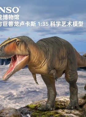 新版PNSO恐龙博物馆南方巨兽龙卢卡斯1：35科学艺术模型