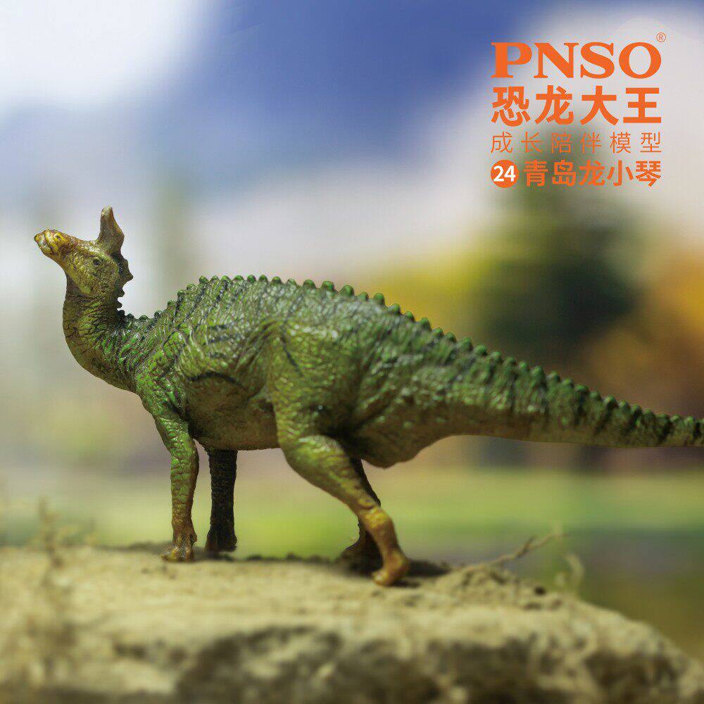 pnso恐青岛龙翠玉大王陪伴成长图片