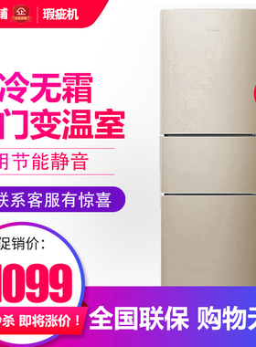 容声 BCD-251WKD1NY 家用三门式电冰箱风冷无霜节能等级机