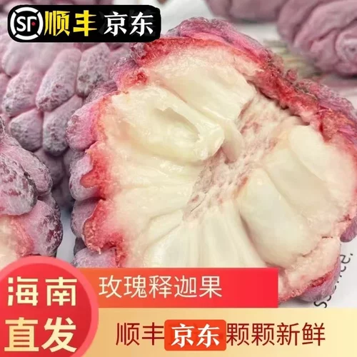 海南玫瑰红释迦果新鲜水果包邮五斤装顺丰空运现摘现发香甜番荔枝