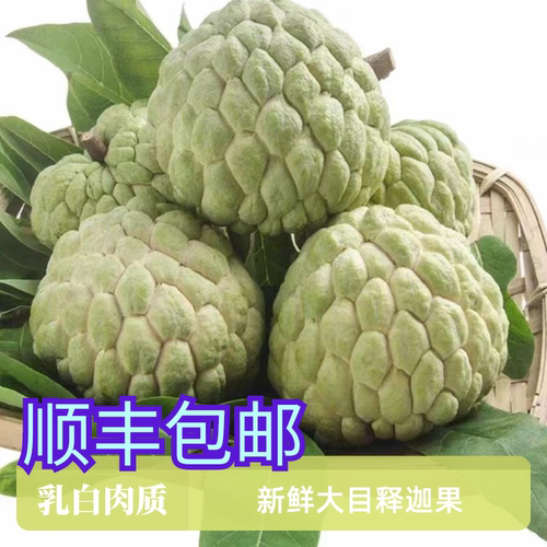 海南大目释迦果新鲜释迦果牛奶大目释迦果新鲜水果佛头摩尼果顺丰