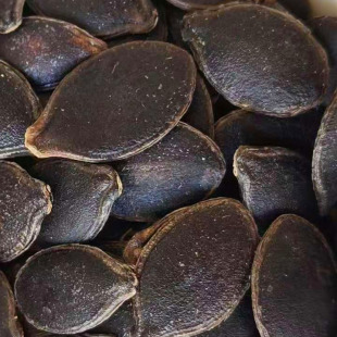 2025大颗粒黑色南瓜子籽生籽生货炒后开口黑金刚炒货原料黑农产品