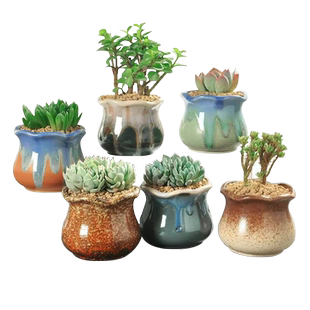 多肉土专家配置营养土栽花土种菜土泥碳土种植土有机基质泥土