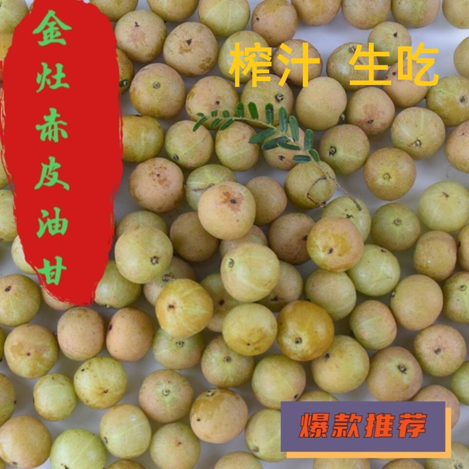 新鲜油甘金灶赤皮回甘