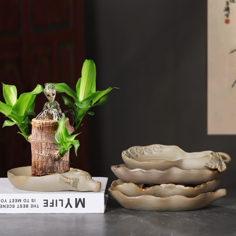 巴西木专用花盆幸运富贵竹苔藓球