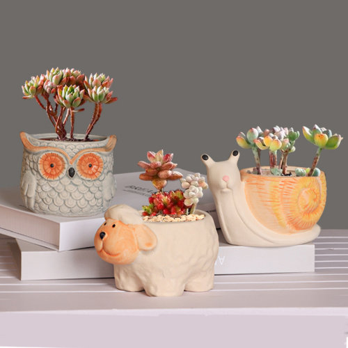 粗陶卡通多肉花盆小盆