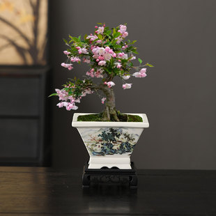 中式复古青花瓷陶瓷花盆方形古典装饰摆件慢生活风兰花盆桌面花器