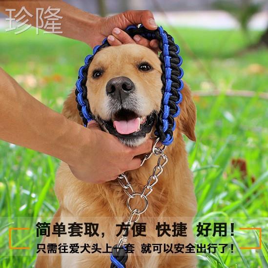 狗狗项圈大型犬拉布拉多金毛宠物颈圈中小型犬泰迪狗项圈脖圈脖套