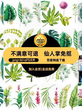 树叶子免抠png AI ePS文件图片素材热带龟背竹水彩绿叶矢量ai植物