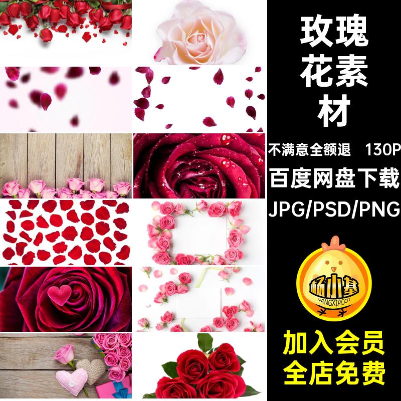 TP-33粉红色玫瑰花瓣高清图片七夕520背景海报JPG情人节设计素材