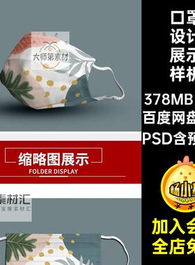 基础口罩样机贴图VIPSD常规效果图智能图案模板印花2款模板图案