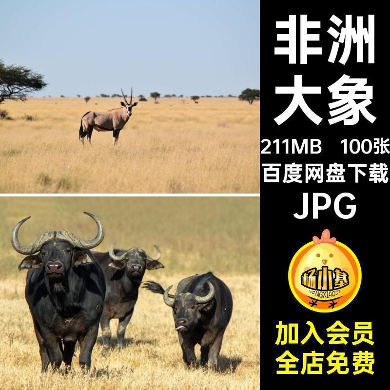 非洲草原照片100张大象自然风景沙漠人文旅游动物图片素材风光