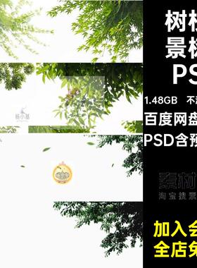 植物景树PSDPSD树枝前景后期psd乔木免抠景观建筑挂角效果图园林