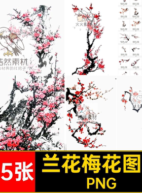 唯美梅花图片PNG腊梅兰花透明花朵古风免扣点缀水墨165张冬季PS