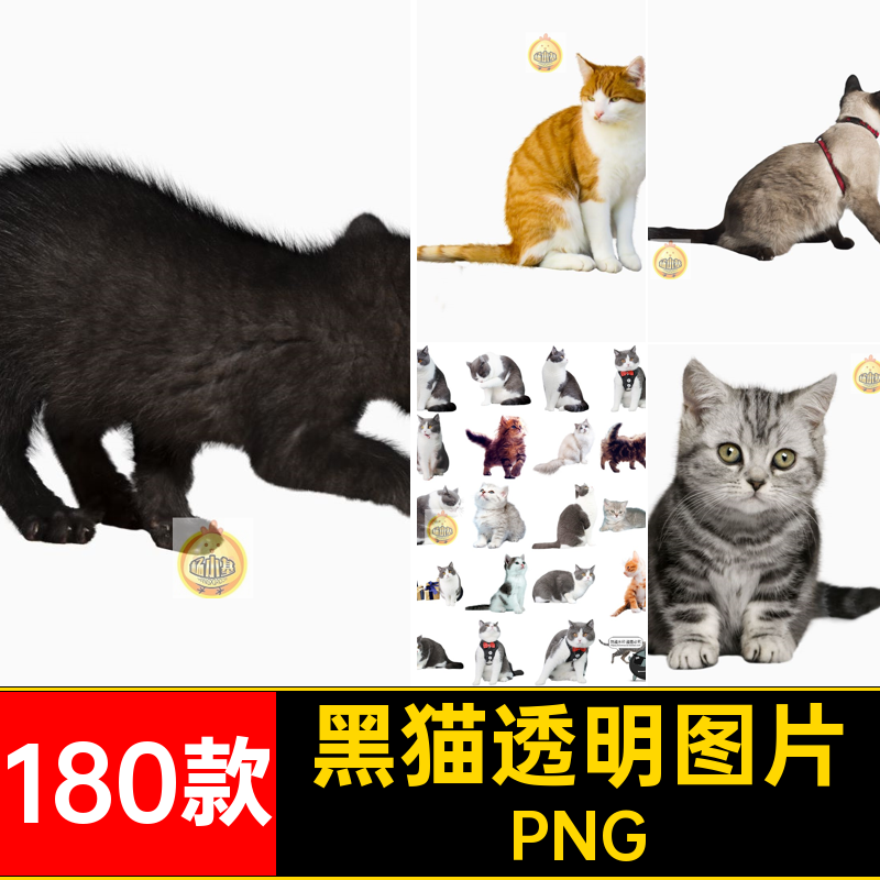 可爱猫咪小猫花猫黑猫小奶猫宠物猫动物免抠PNG透明背景图片素材