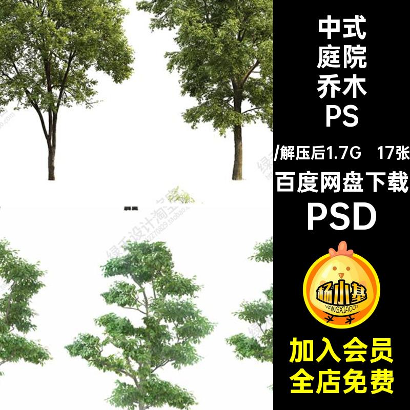 常绿庭院乔木PSD丛生中式庭院乔木配景景观效果图造型后期树素材