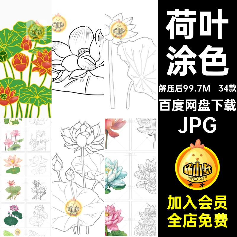 植物荷叶涂色稿34款笔画元素简素材荷花廉洁夏天线盛开JPG池塘