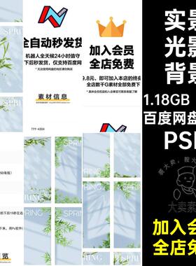 12个竹子光影背景模板PSDPSDPSDPSD影楼实景照片后期情侣PSDPSD
