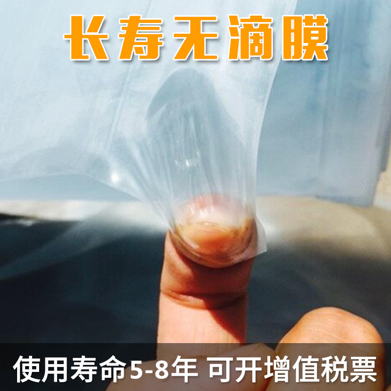 无滴膜蓝大棚色膜透明加厚塑料薄膜防水布塑料纸农用养殖保温棚膜