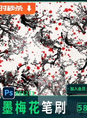58款写意水墨梅花笔刷绘画中国画腊梅花枝iPadps传统pr