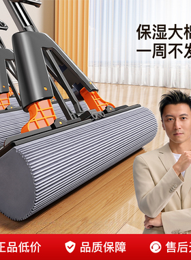 佳帮手海绵拖把家用一拖净2025新款对折式吸水胶棉头免手洗地拖布