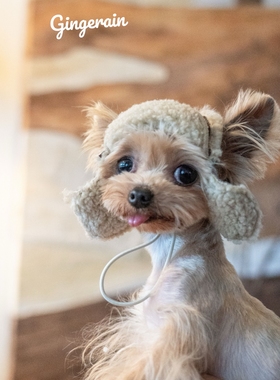 GINGERAIN 自家制版型加绒飞机帽马尔济斯约克夏小型犬羊羔绒露耳