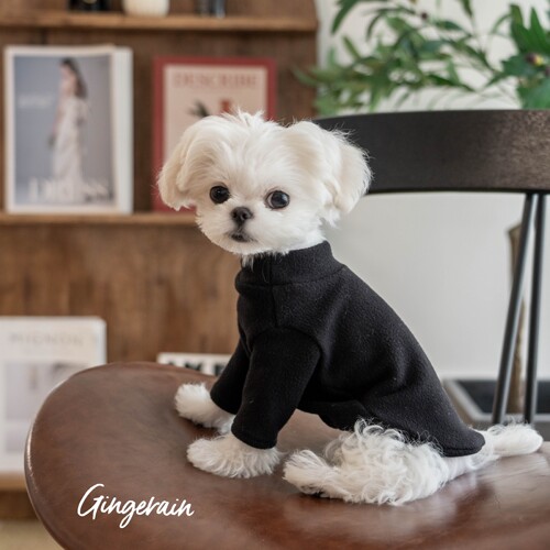 GINGERAIN发热绒小型犬衣服保暖