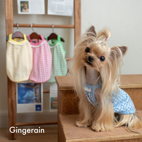 吊带纯棉小型犬背心GINGERAIN