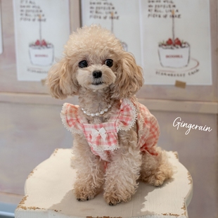 GINGERAIN 荷叶边裙 漫画少女裙马尔济斯约克夏小型犬泡泡棉飞飞袖