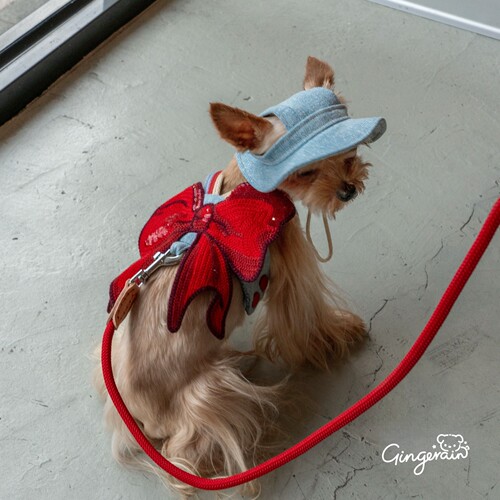 GINGERAIN 户外牛仔胸背带露营约克夏小型犬马尔济斯遛狗可牵引绳