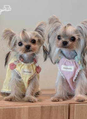 GINGERAIN 小型犬马尔济斯比熊迪衣服娃娃衫宽松轻薄透气背心