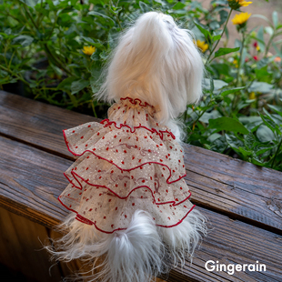 GINGERAIN blingbling吊带裙马尔济斯衣服比熊闪光网纱礼服蓬蓬裙