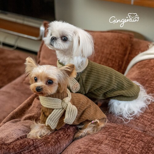 GINGERAIN 美拉德穿搭宠物衣服约克夏马尔济斯卫衣韩剧日系保暖