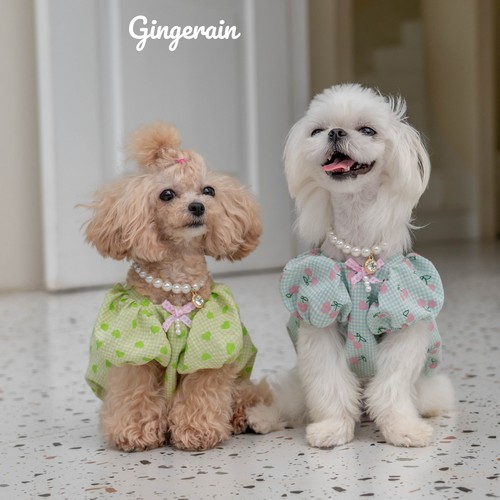 泡泡袖裙子纯棉GINGERAIN小型犬