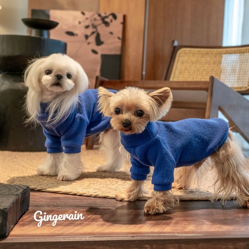 GINGERAIN 新毛衣更厚实马尔济斯衣服小型犬约克夏保暖高领毛衣
