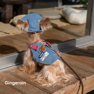 GINGERAIN 户外牛仔胸背带约克夏马尔济斯小型犬遛狗可牵引绳