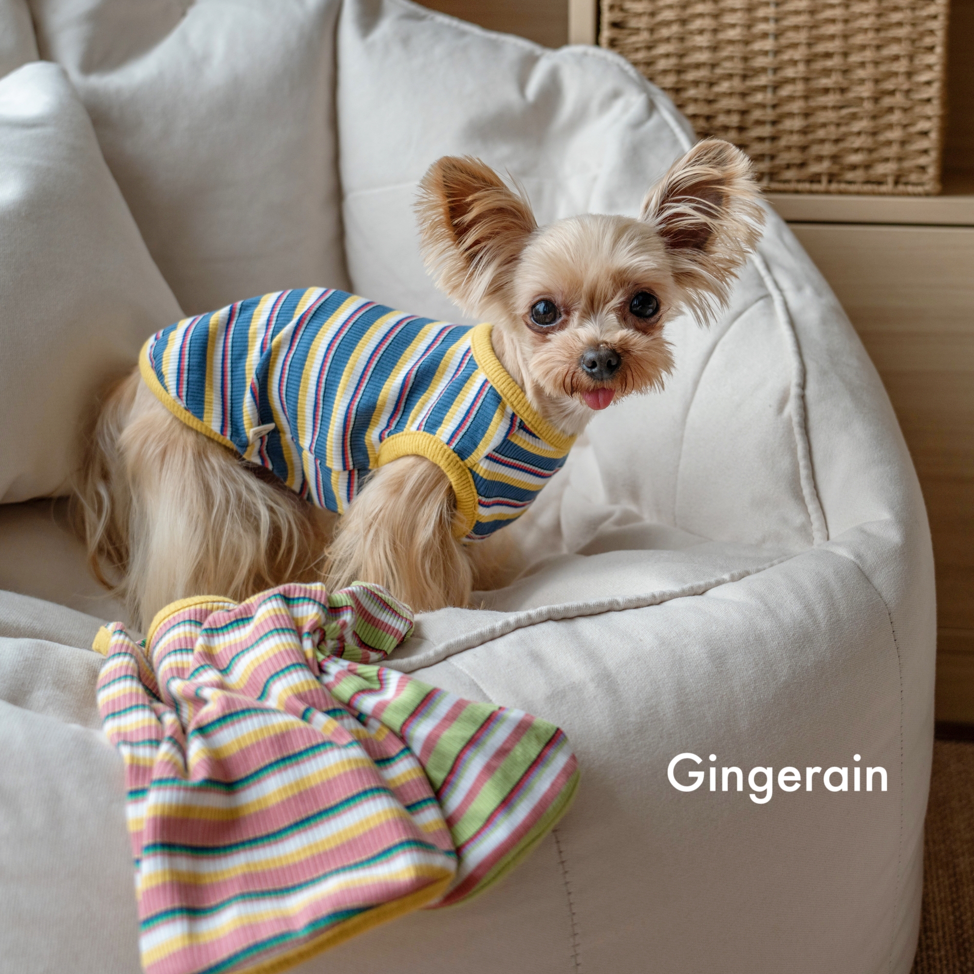 GINGERAIN 弹力跨栏背心马尔济斯约克夏条纹打底衫棉质T恤背心