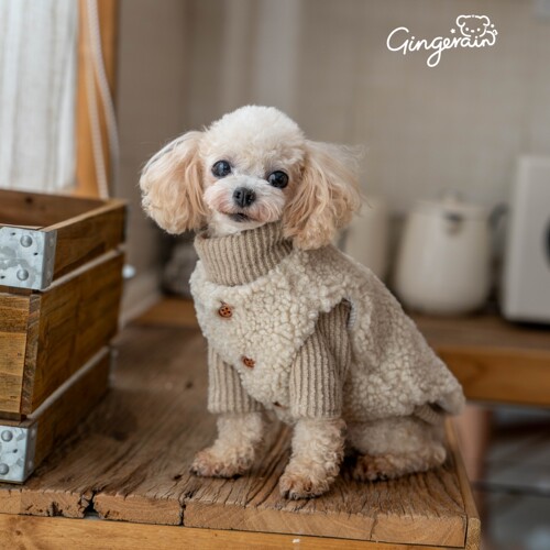 GINGERAIN 狗衣服羊羔绒系扣保暖马甲马尔济斯马尔泰衣服套装