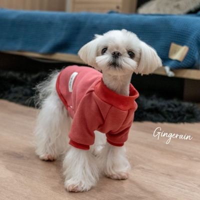 GINGERAIN 加绒保暖衣宠物狗小型犬约克夏比熊高弹纯棉卫衣