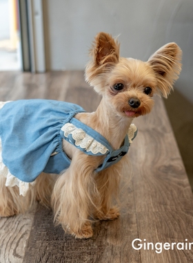 GINGERAIN 牛仔飞飞袖吊带裙约克夏衣服马尔济斯纯棉木耳边小裙子