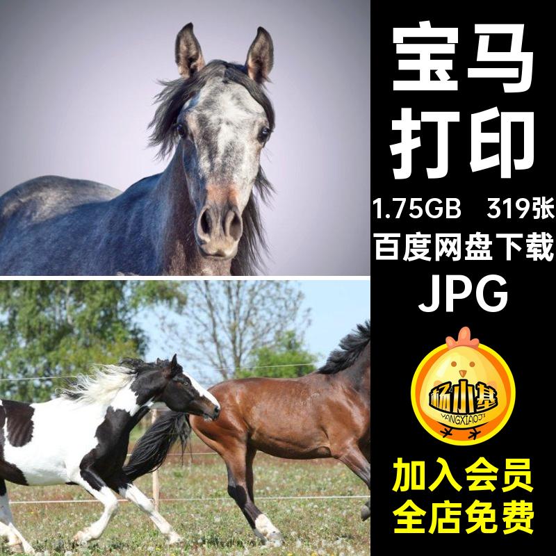 319张宝马美工图片高清JPG设计骏马动物喷绘生物打印奔跑素材的