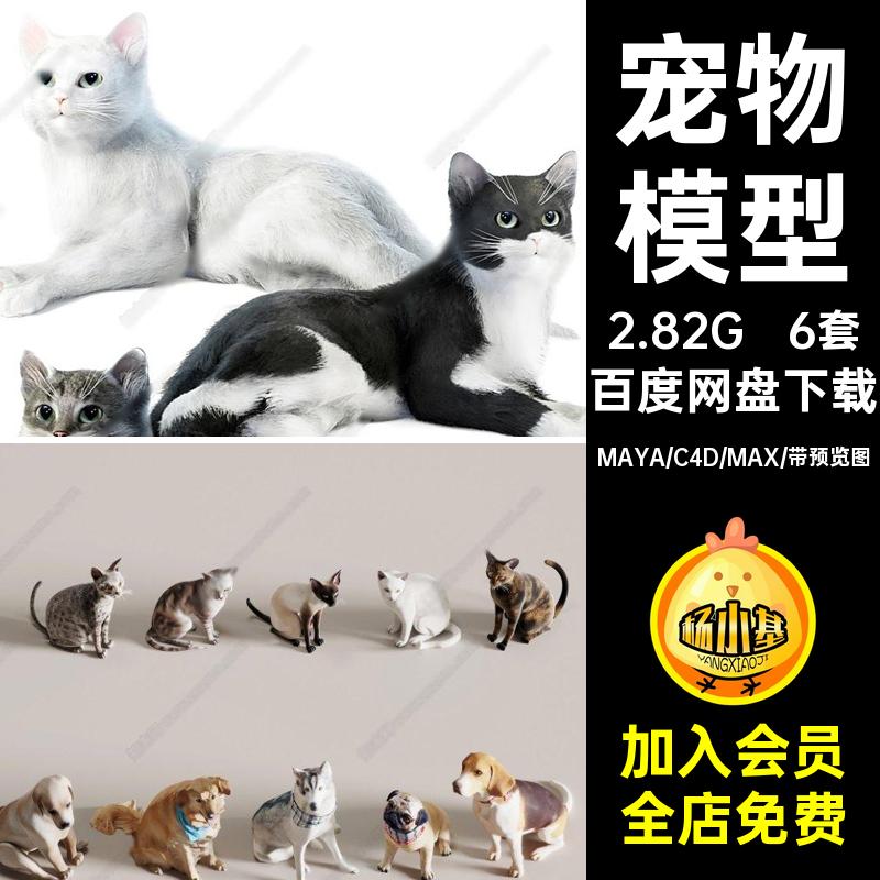 6套宠物狗模型RhinoFBXOBJMAYAC4DSU3Dmax猫咪blender素材犬金毛