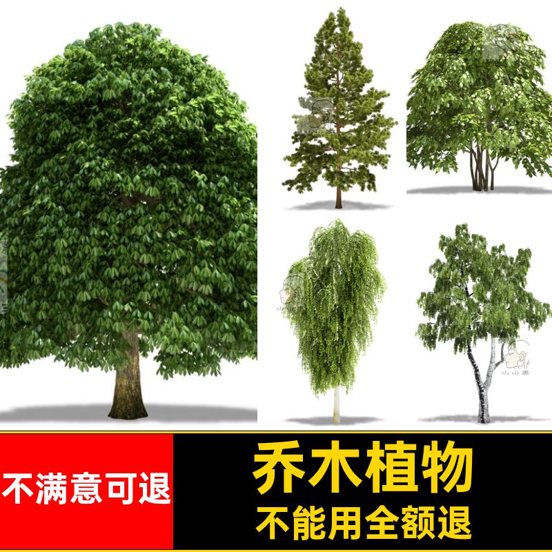 绿色椰子树免植物教学树木类型素材建筑抠园林景观效果图立面乔木