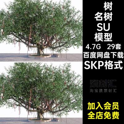 许愿树名树SU模型SKP格式名木草图榕树树木大树29套村庄寺庙老树