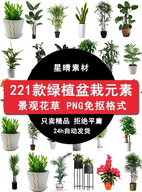 园林景观盆栽元素PNG免抠图绿植图片盆景植物PS221款花草背景抠