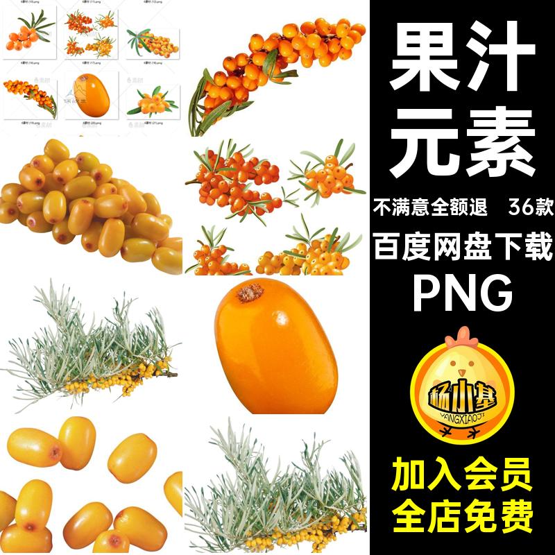 橙色果汁水果扣透明抠36款png沙棘卡通免手绘PNG元素图片素材浆