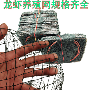 龙虾养殖捕大留小网笼大网眼虾笼鱼网捕虾网小龙虾专用网结实耐用