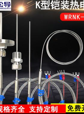 K型热电偶WRNK-191铠装温度传感器电热偶可弯曲探头Pt100/E/J/T