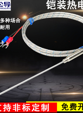 K型铠装热电偶WRNK-191电热偶针可弯曲Pt100/E/J/T温度传感器探头